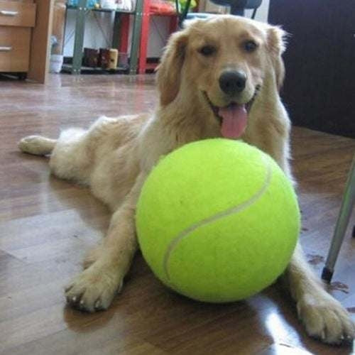 9.5 inch big tennis pet bite toy big inflatable tennis supplies