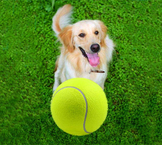 9.5 inch big tennis pet bite toy big inflatable tennis supplies